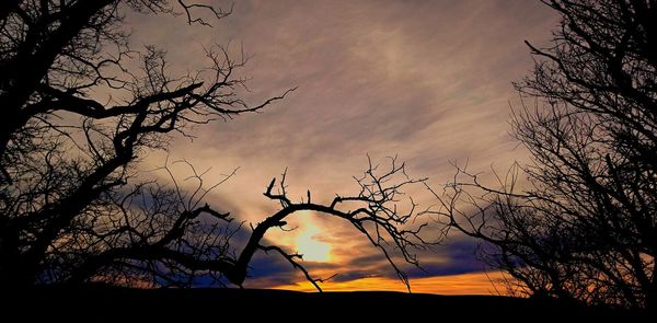 Silhouette of tree against dramatic sky