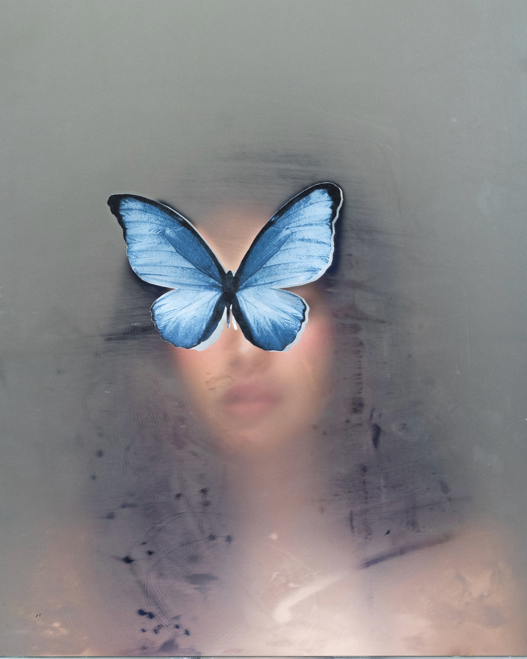 butterfly, blue, moths and butterflies, insect, wing, animal, petal, animal themes, animal wing, one animal, indoors, animal wildlife, no people, nature, studio shot, animal body part, close-up, white, digital composite, wildlife