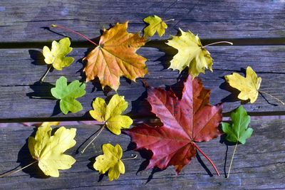 High angle view of yellow leaves on wooden table