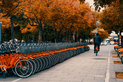 Row of bikes on street during autumn