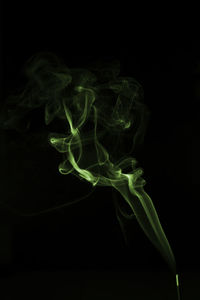 Close-up of leaves over black background