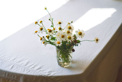 Daisies. selective focus on daisies in vase. close up