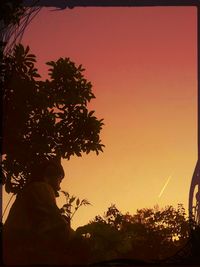 Close-up of silhouette tree against clear sky