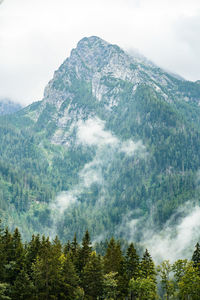 Low angle view of mountain against sky