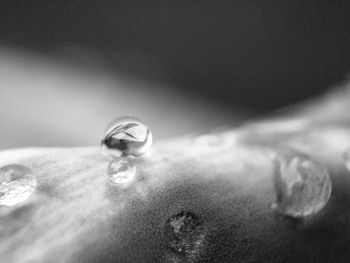 Close up of bubbles in water