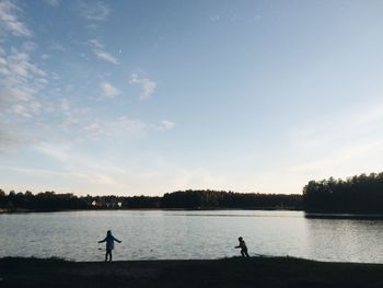 Trees at lakeshore