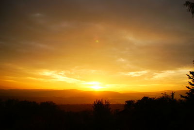 Silhouette trees against sky during sunset