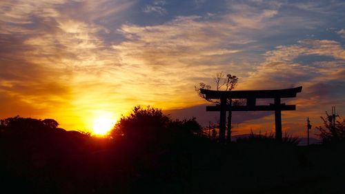 Silhouette of trees at sunset