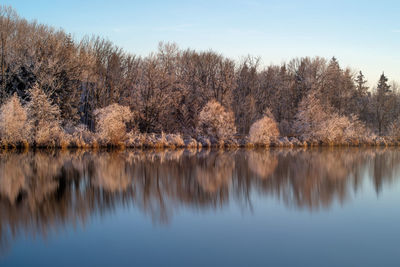 Reflection of trees in lake against sky