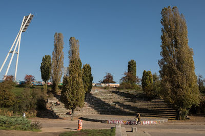 People by tree against clear sky