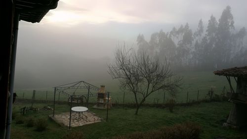 Scenic view of trees against sky