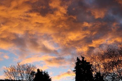 Low angle view of silhouette trees against sky at sunset