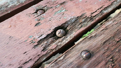 Close-up of old rusty door