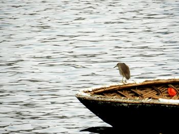 Bird perching on lake