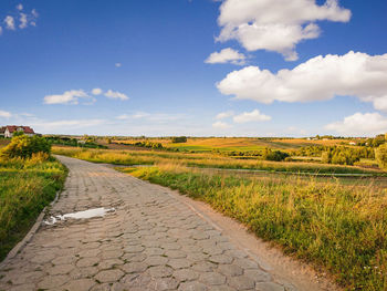 Dirt road amidst field against sky