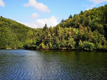 Scenic view of lake in forest against sky