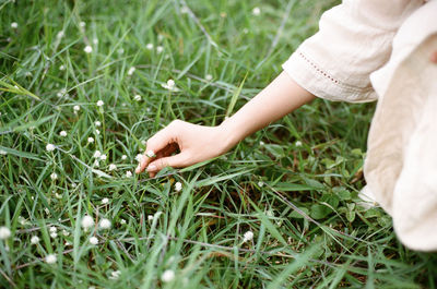 Midsection of woman hand on grass field