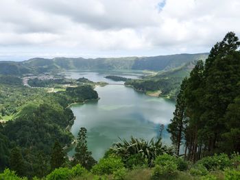 Scenic view of river amidst trees against sky