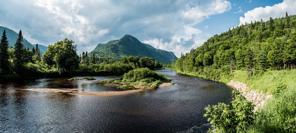 Panoramic view of river amidst trees in forest against sky