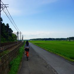 Rear view of person riding bicycle on road