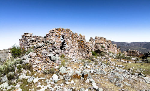 Plants growing on rocks against clear blue sky