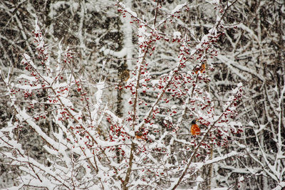 Full frame shot of snow