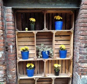 Potted plants in front of built structure