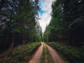 Dirt road amidst trees against sky