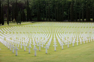 Usa military cemetery of second world war with crosses of dead soldiers resting in florence