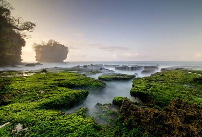 Scenic view of sea against sky during sunset