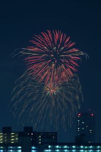 Low angle view of firework display in sky at night