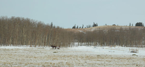 Scenic view of landscape against clear sky