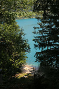 High angle view of trees by lake in forest against sky