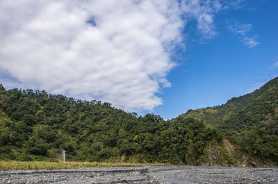 Scenic view of road amidst trees against sky