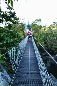 Suspension bridge in forest