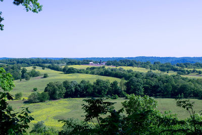 Scenic view of landscape against clear sky