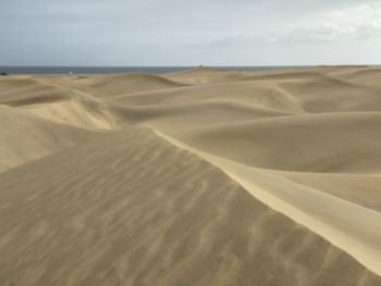 Sand dunes in desert
