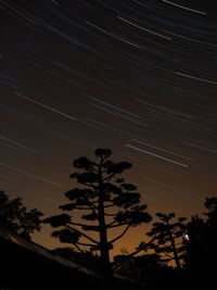 Silhouette trees against sky at night