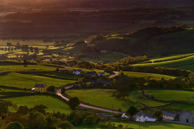 High angle view of agricultural field