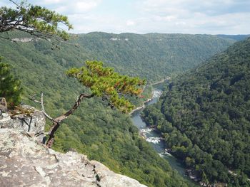 Scenic view of trees and mountains against sky