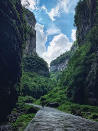 Panoramic view of trees and mountains against sky