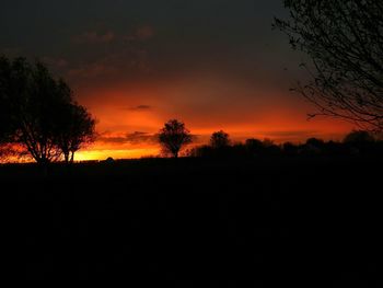 Silhouette trees on landscape against orange sky