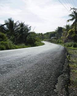 Road passing through trees