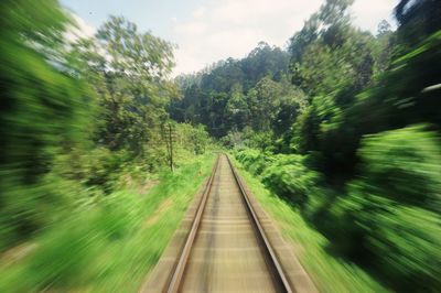 Railroad tracks amidst trees against sky