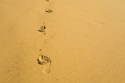 High angle view of footprints on sand