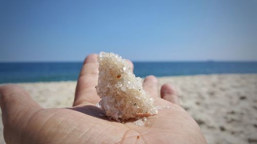 Cropped hand of person holding sand at beach