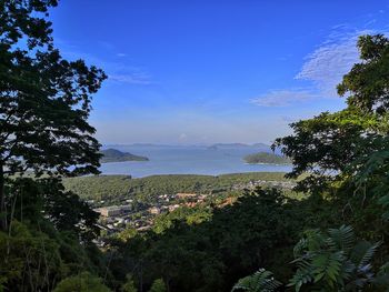 Scenic view of sea by trees against sky