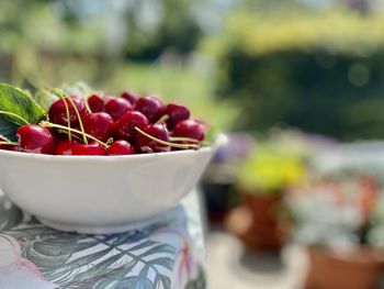 Close-up of fruits in bowl