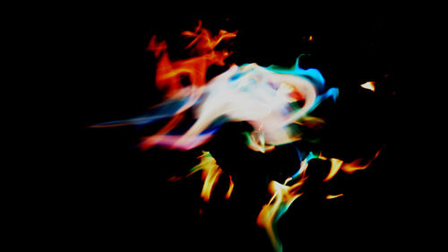 Close-up of fish in water