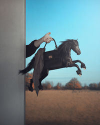 Low angle view of woman jumping against sky